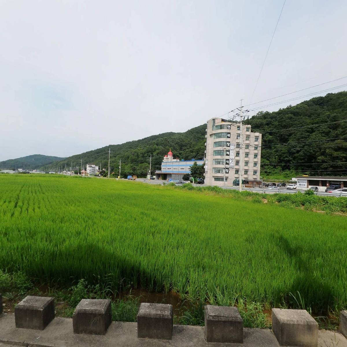 우성우드