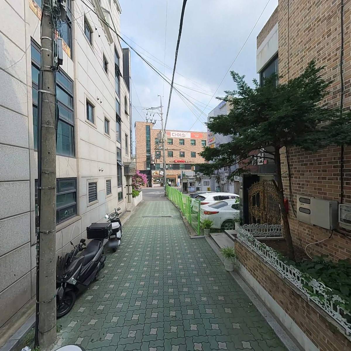 다운파이브오브킥복싱_2