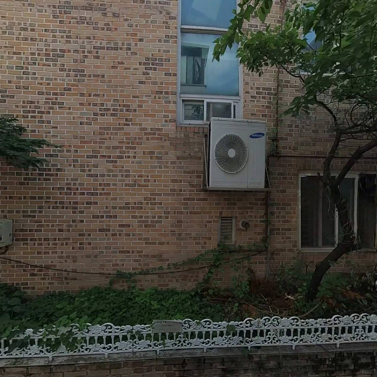 다운파이브오브킥복싱_3