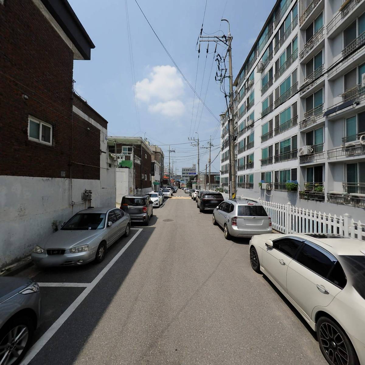 닮호두네_2