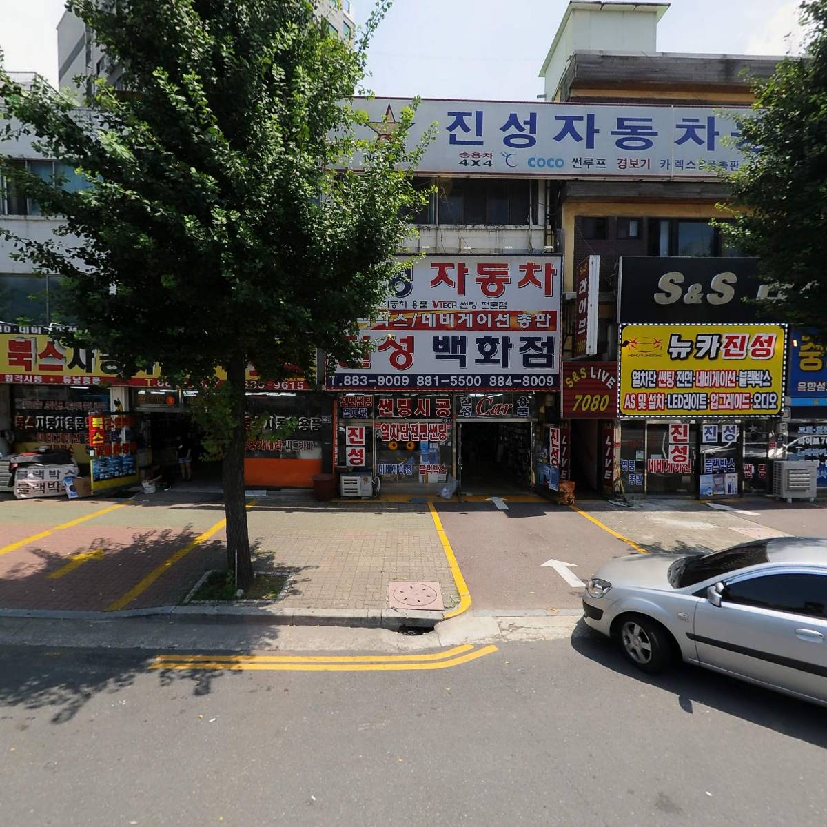 뉴카진성종합