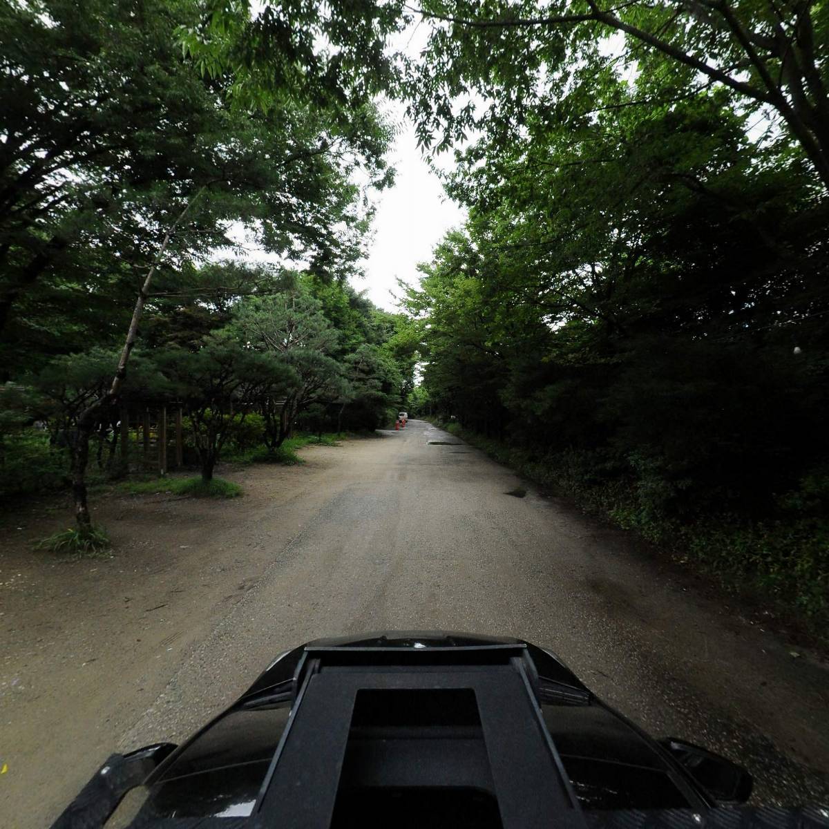 솔향기_4