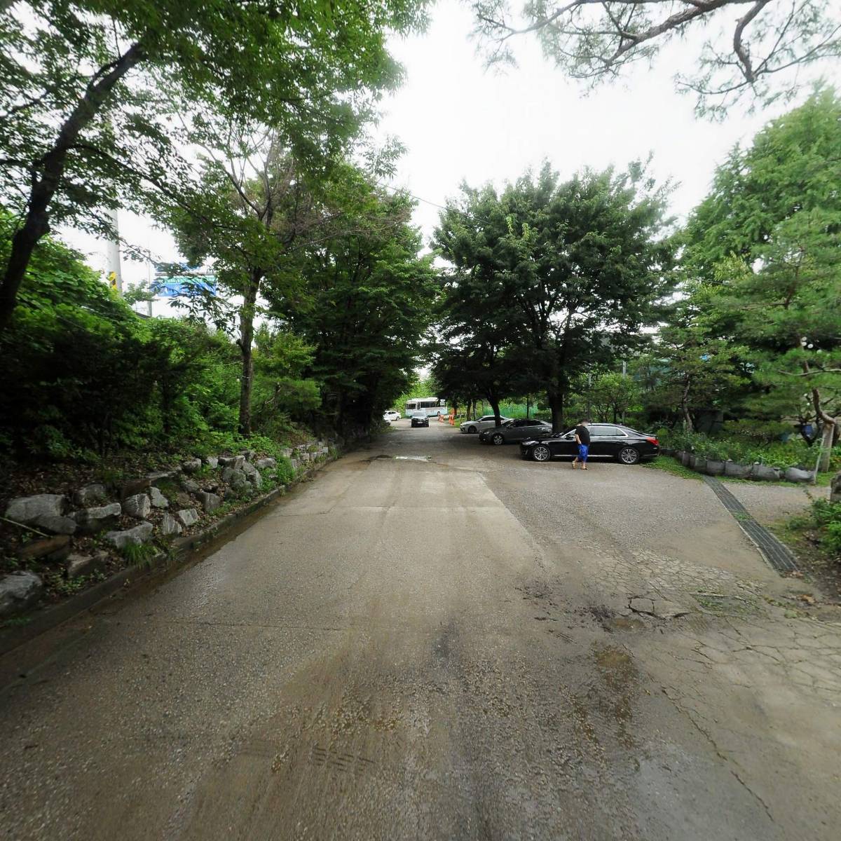 솔향기_2
