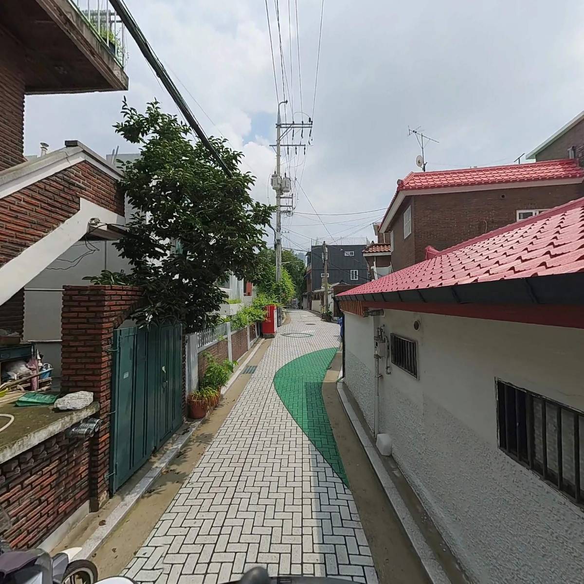 천자만홍생화_2