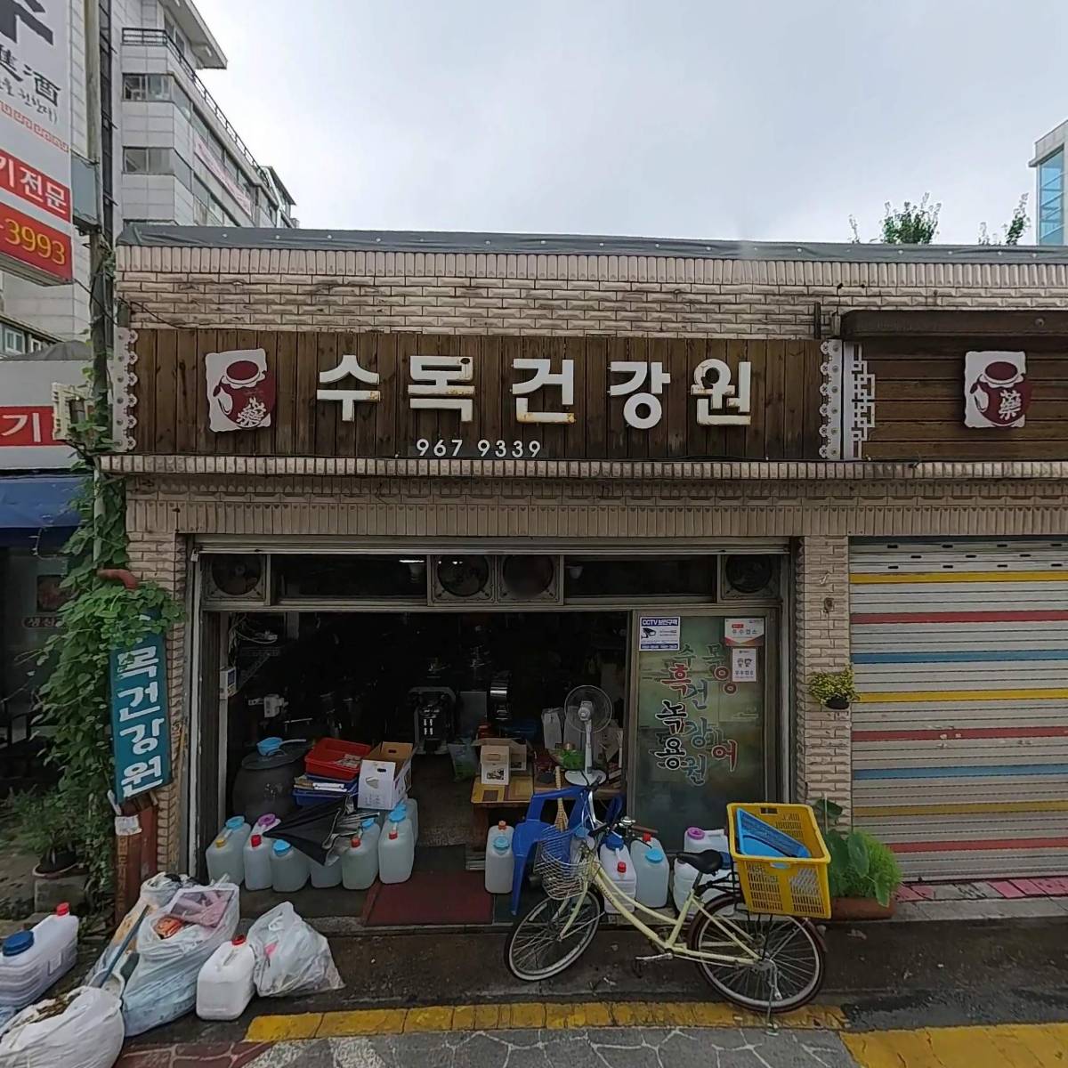 신영진열