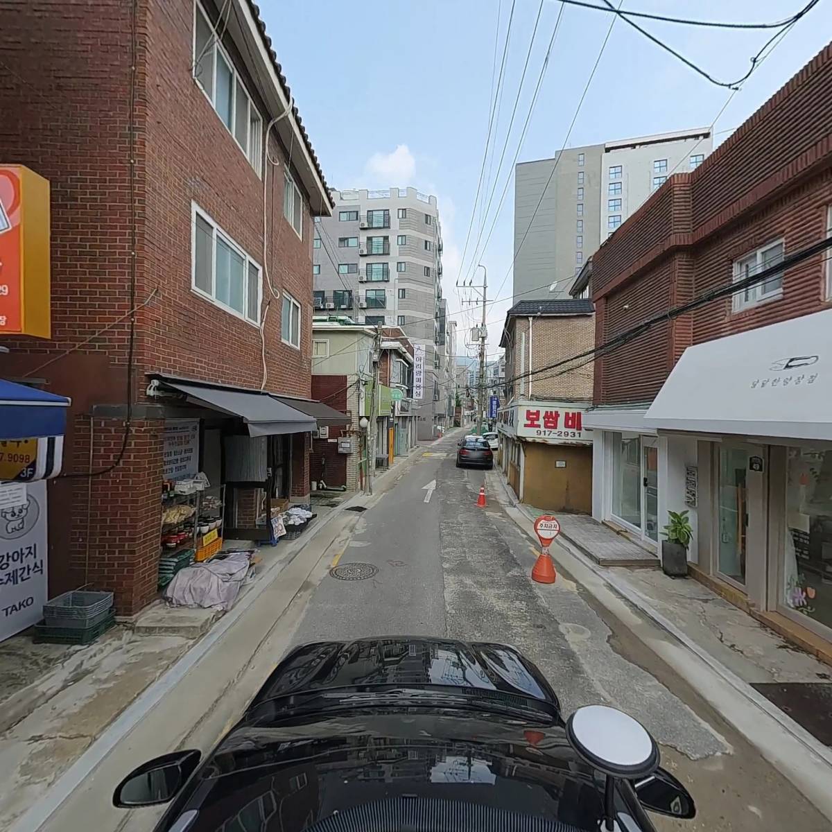 블루밍스텔라_4