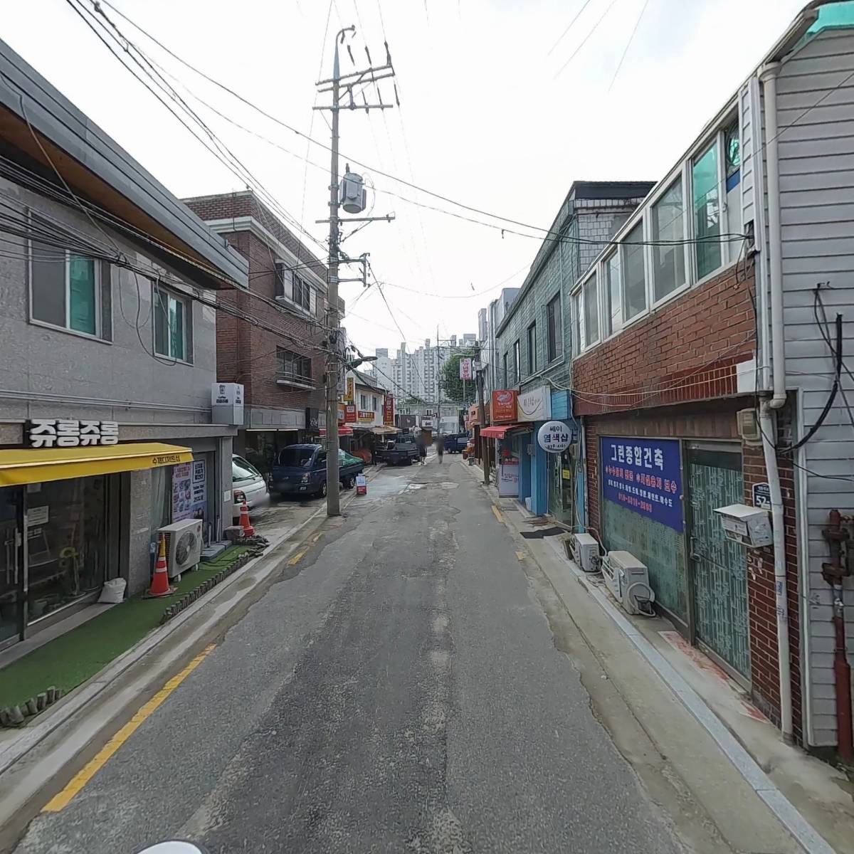 블루밍스텔라_2