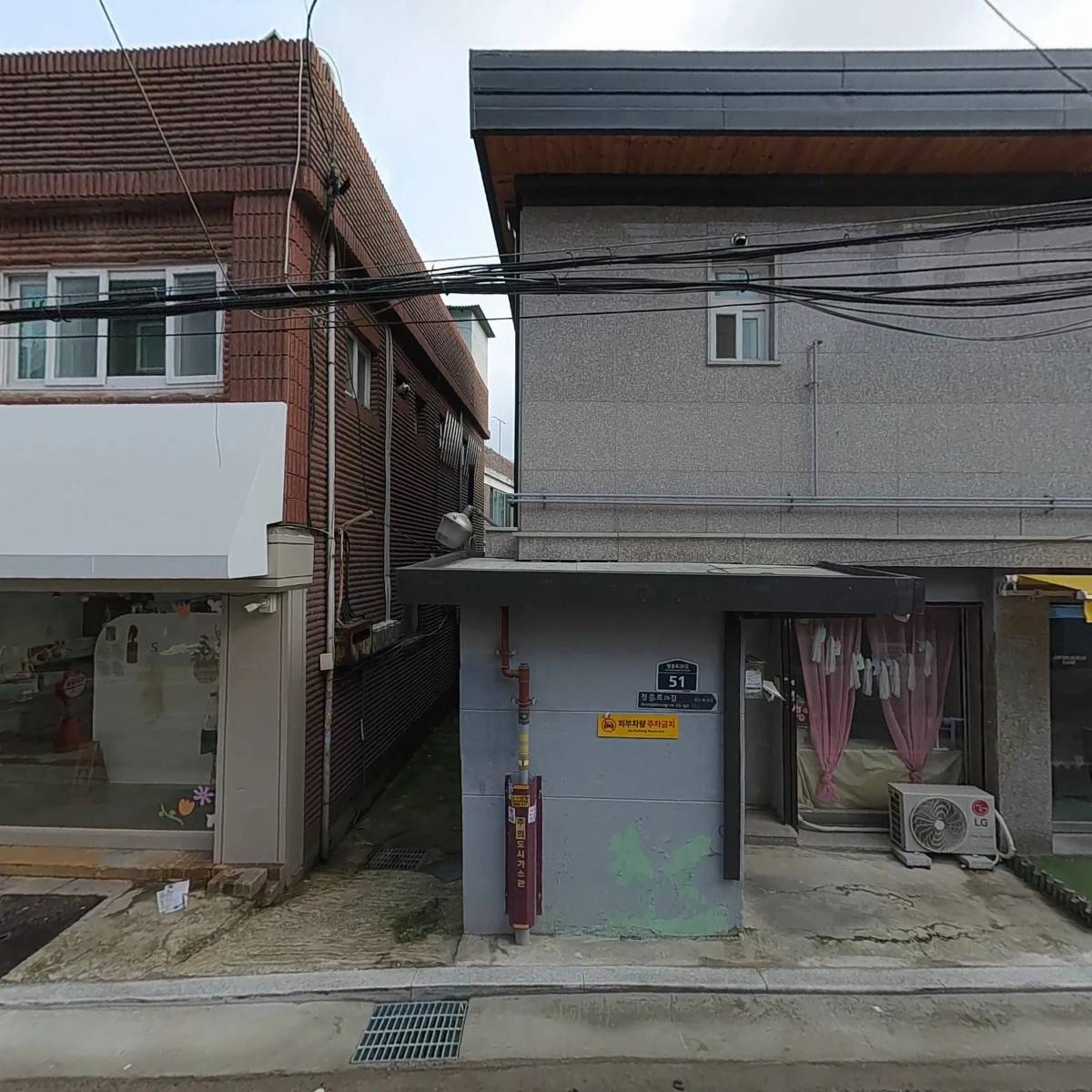 블루밍스텔라