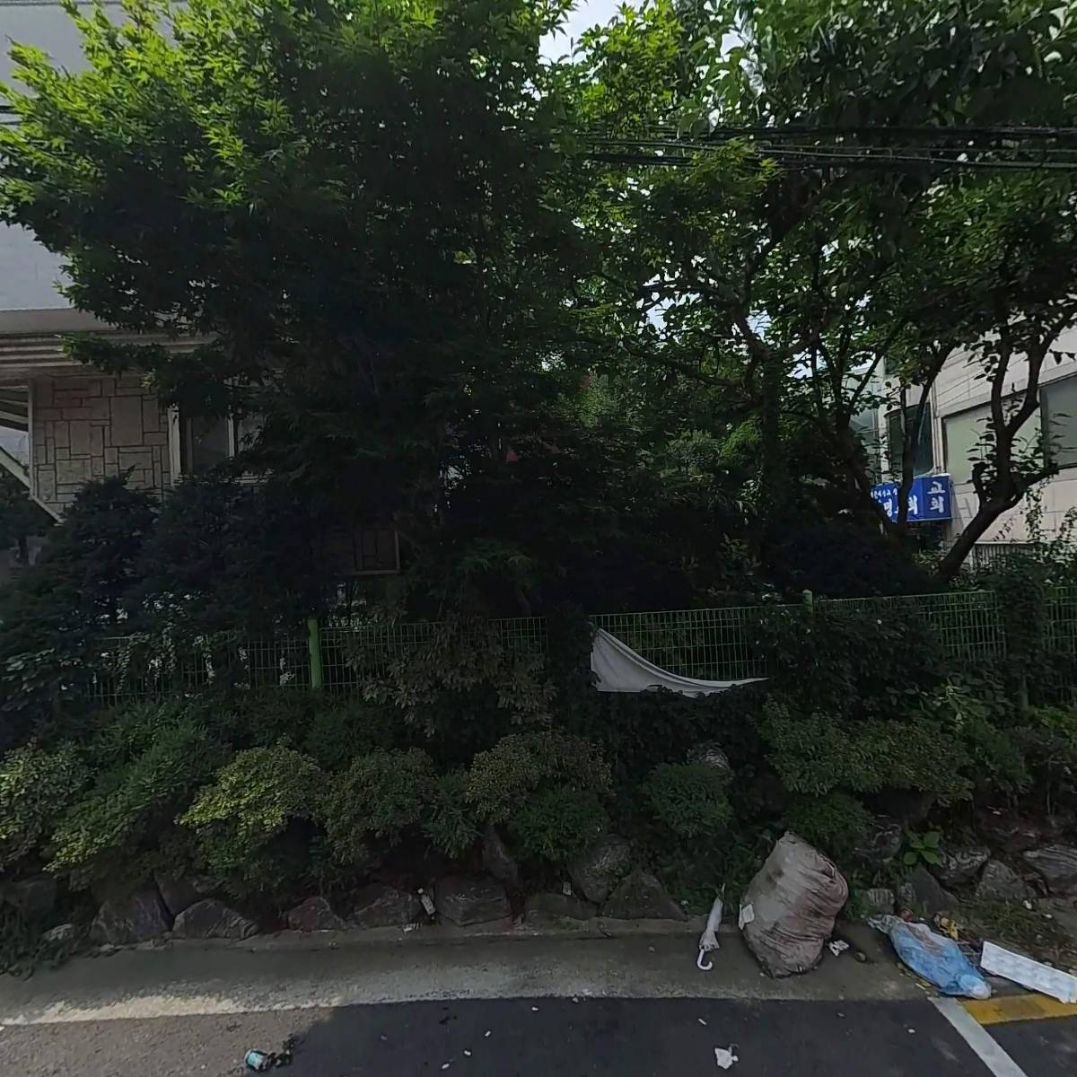 아바나 주식회사