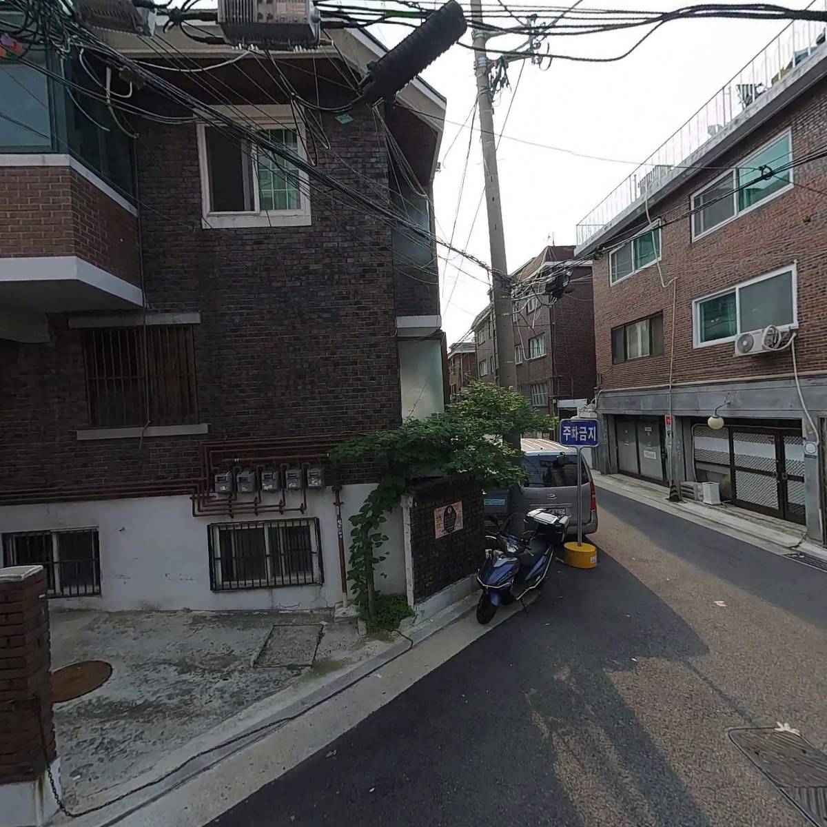 신세계 니트