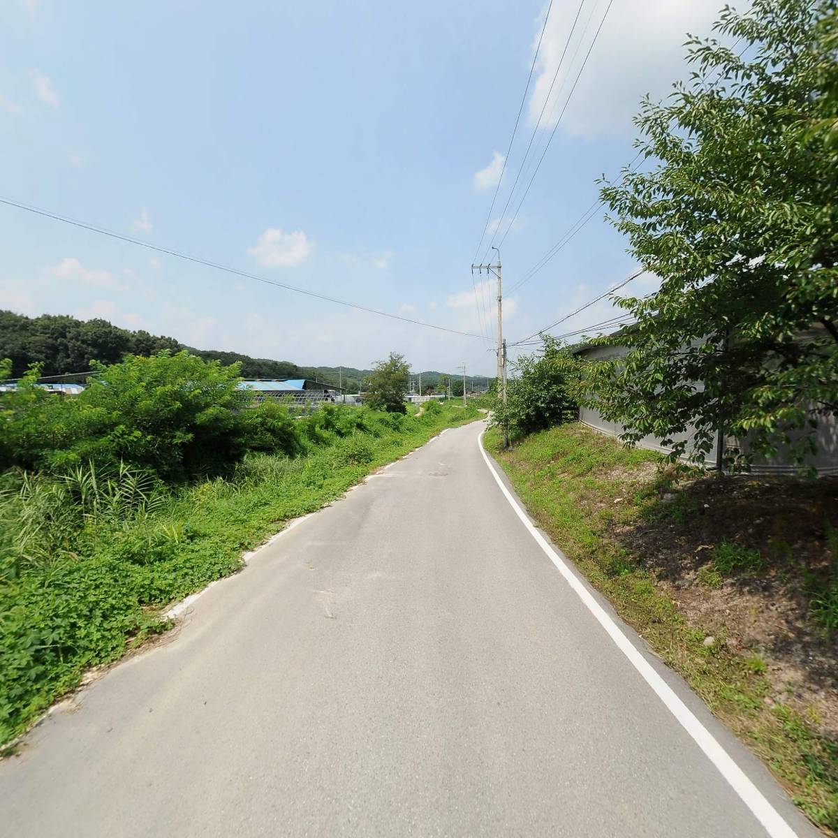 대양식품_2