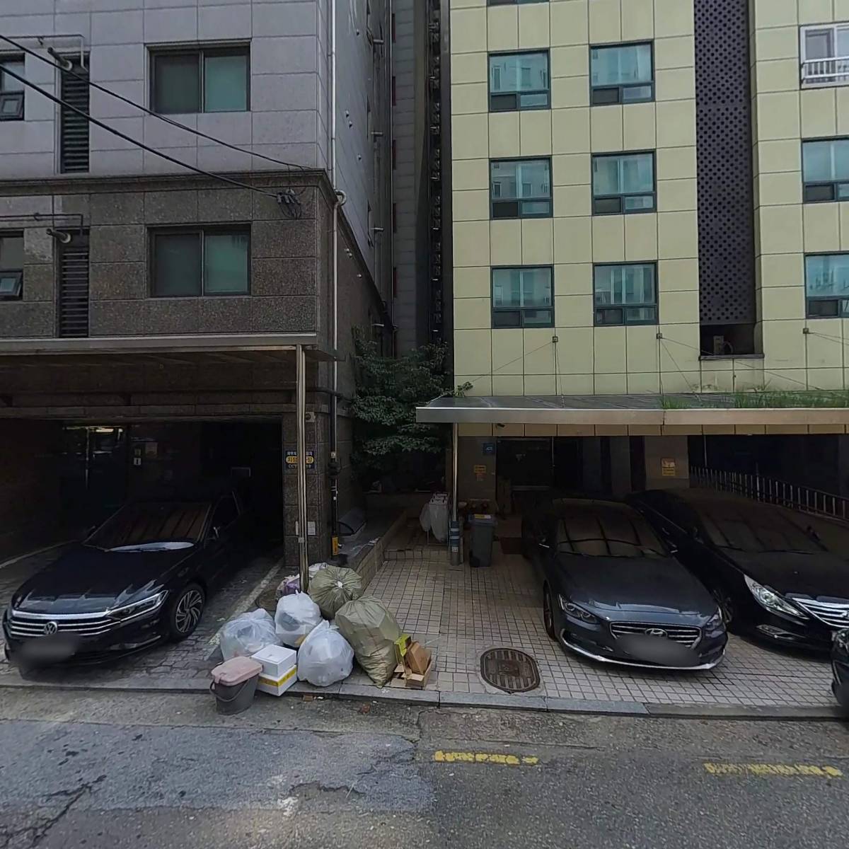 리젠트
