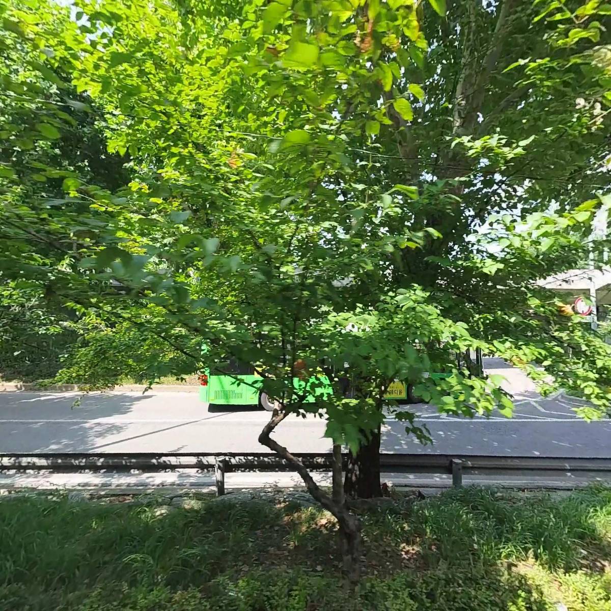 (주) 팜스킹코리아_3