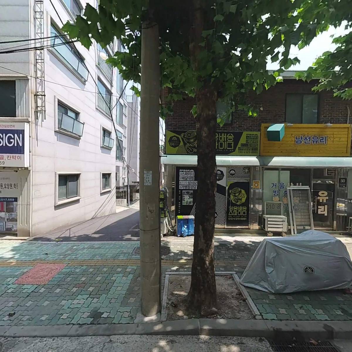 킹(스파이더방배지부)