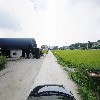강지다육_4