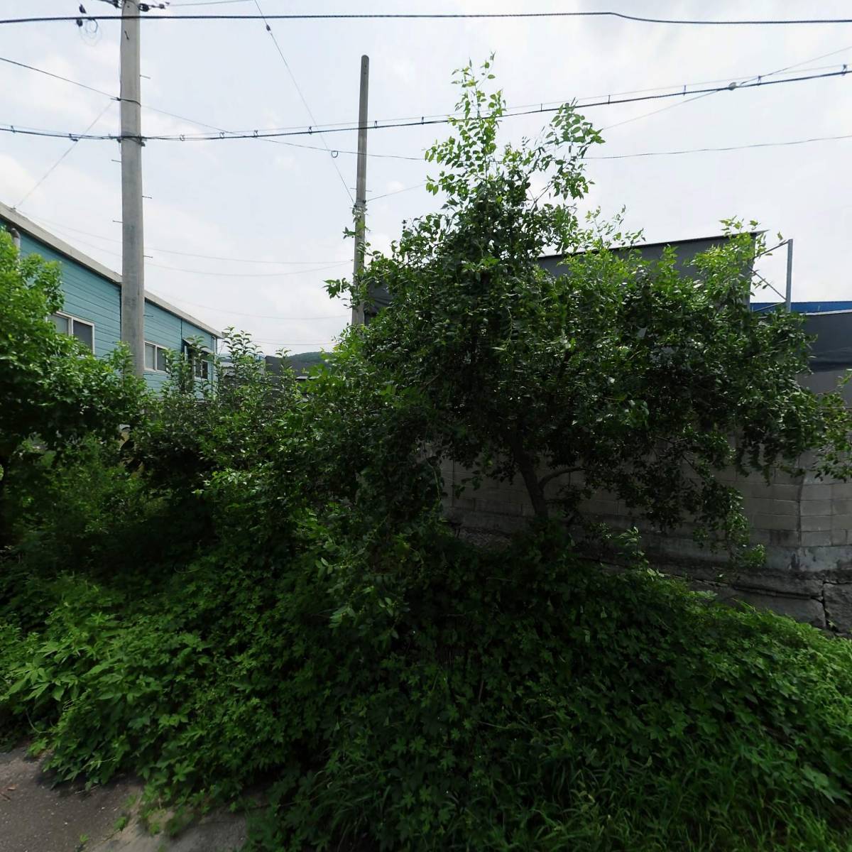 주식회사 늘푸름섬유_3