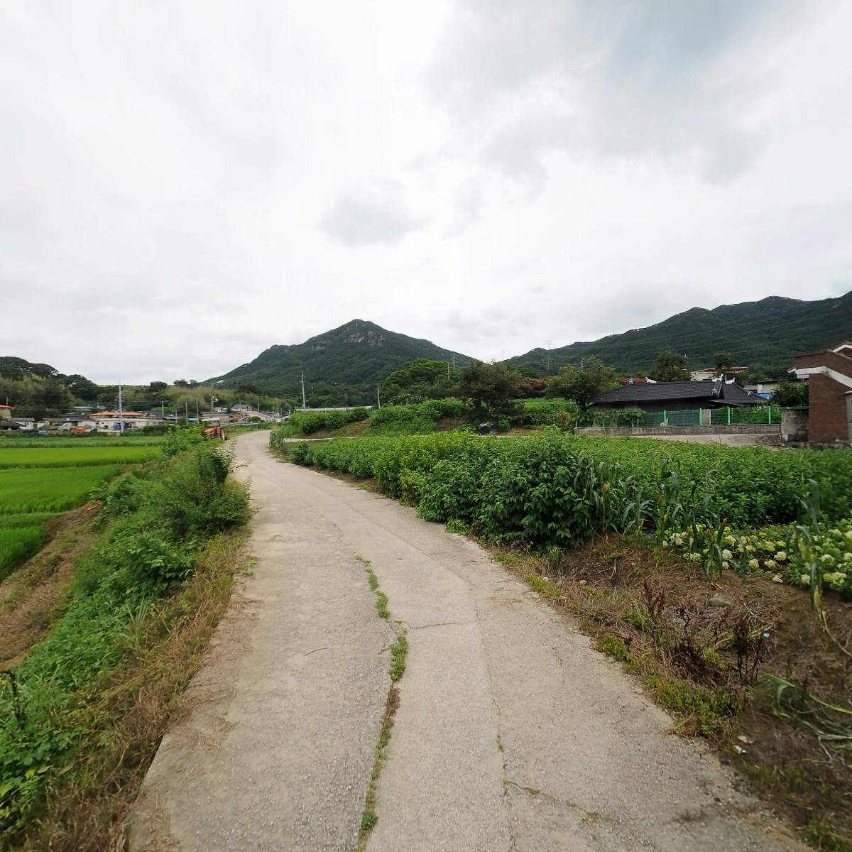 장병규 발전소_2