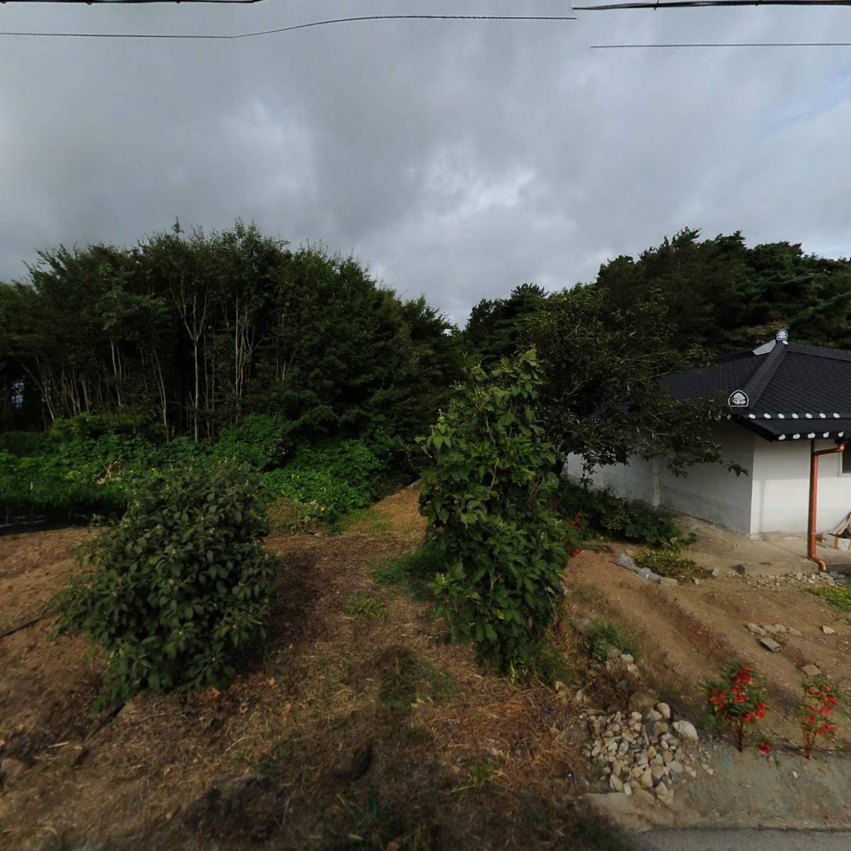 정읍롯데택배