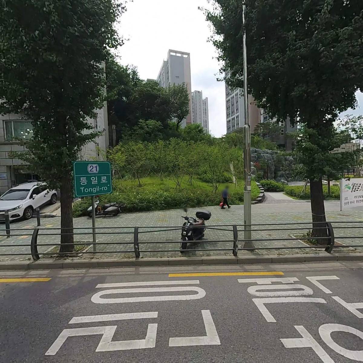 큰나무