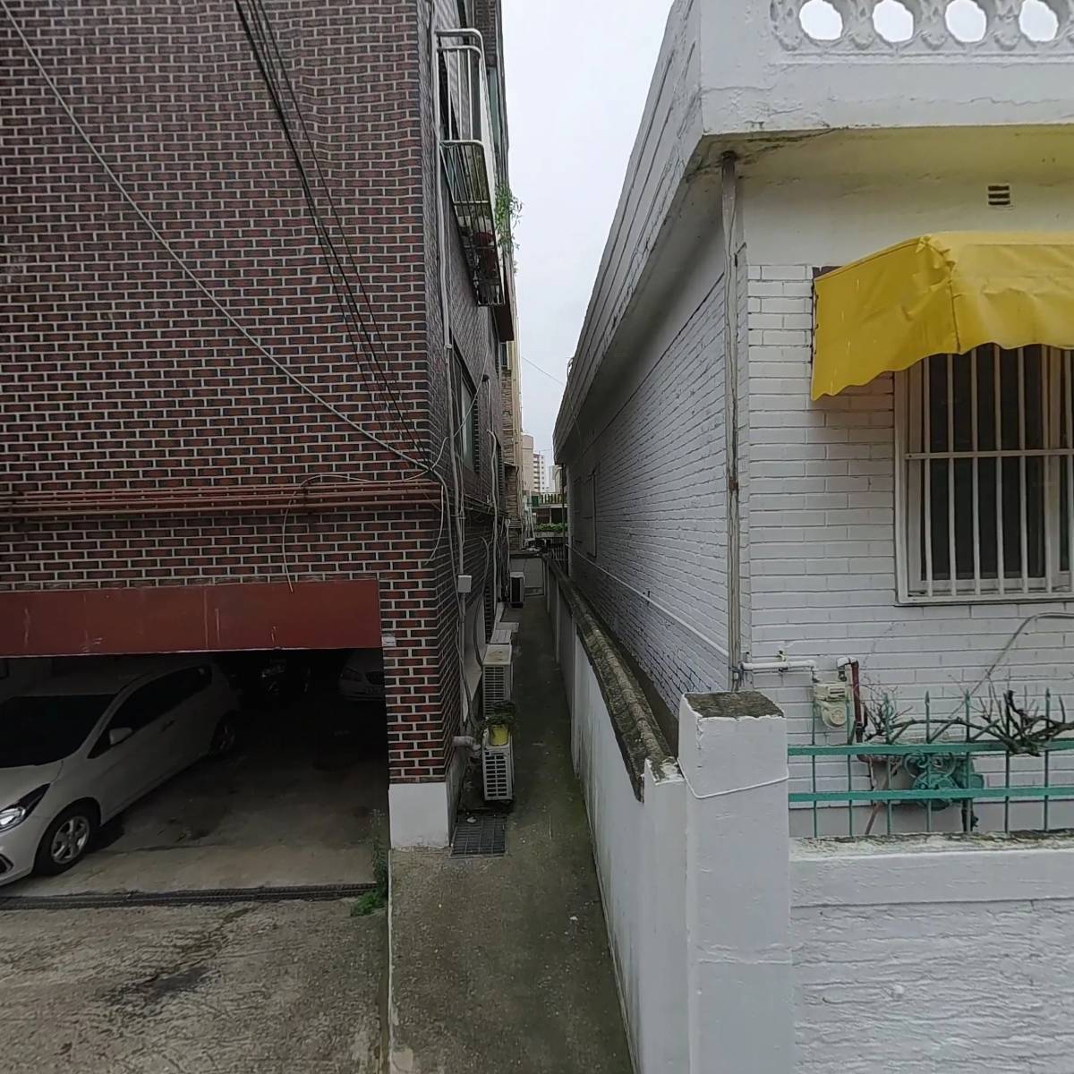 이은하_3