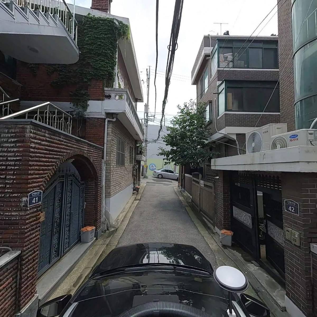 안토니아_4