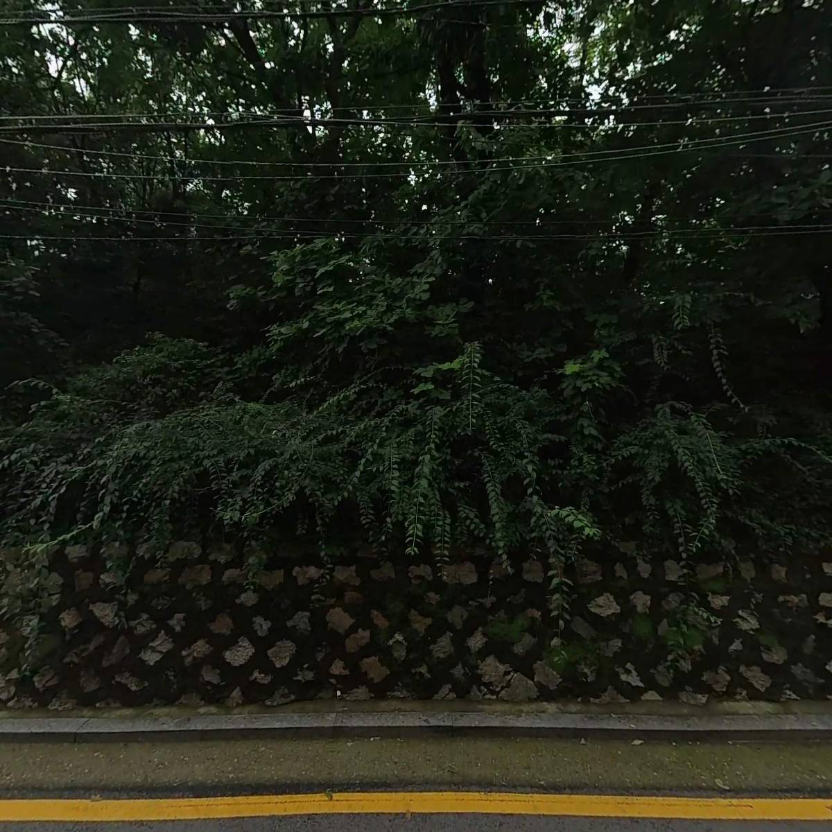 (주)디자인패스_3