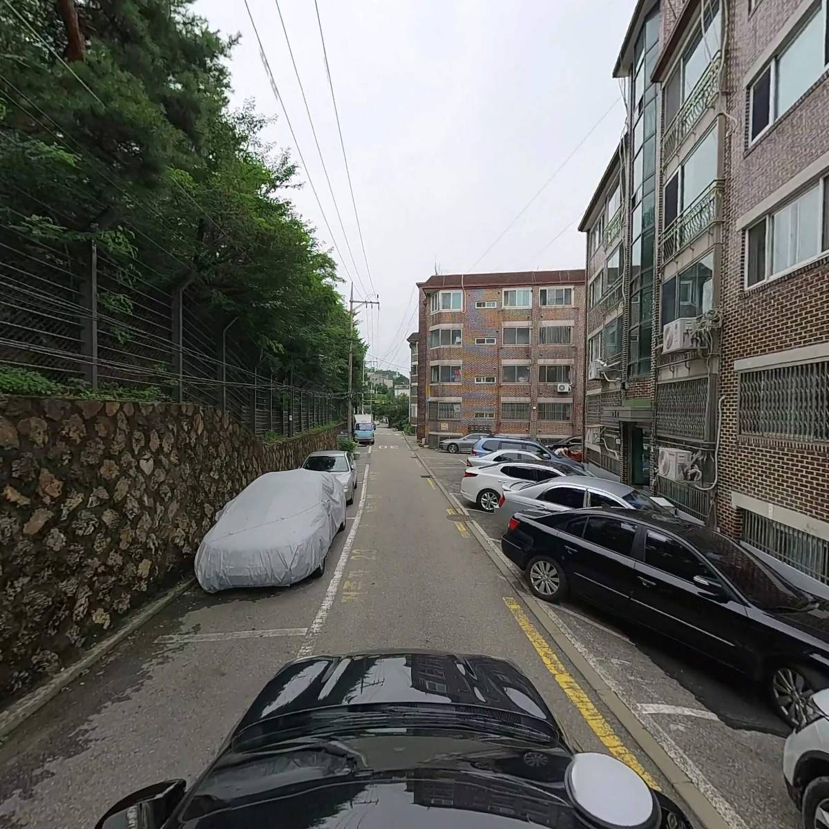 나비스_4