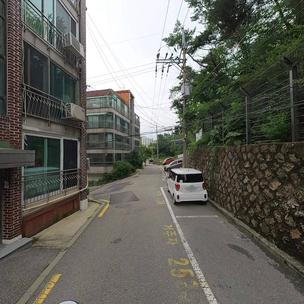 나비스_2