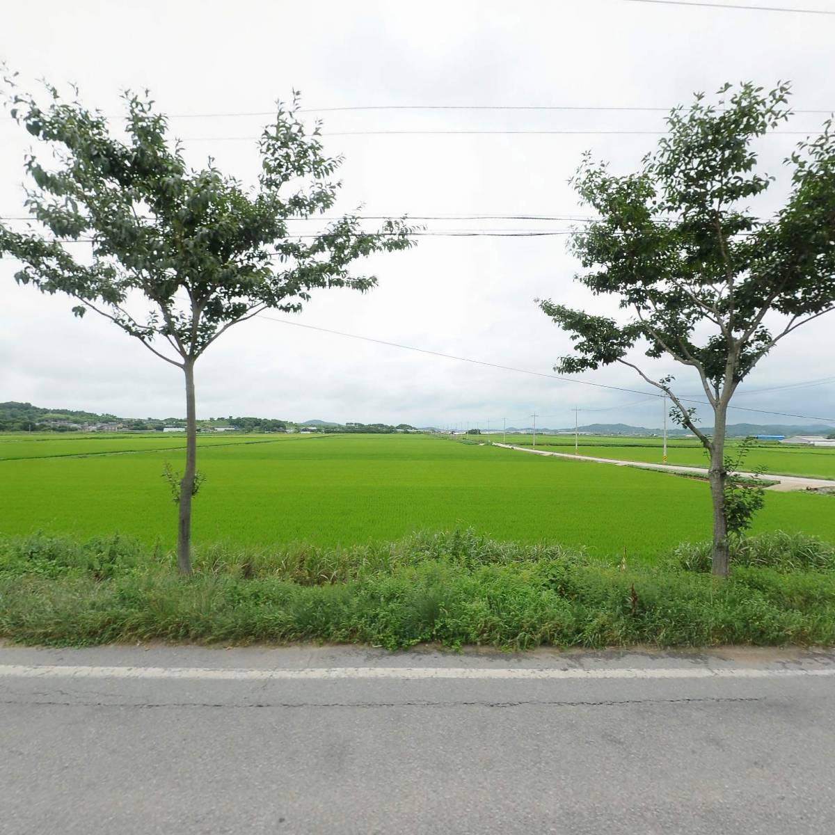 농업회사법인(유)카야시스템_3