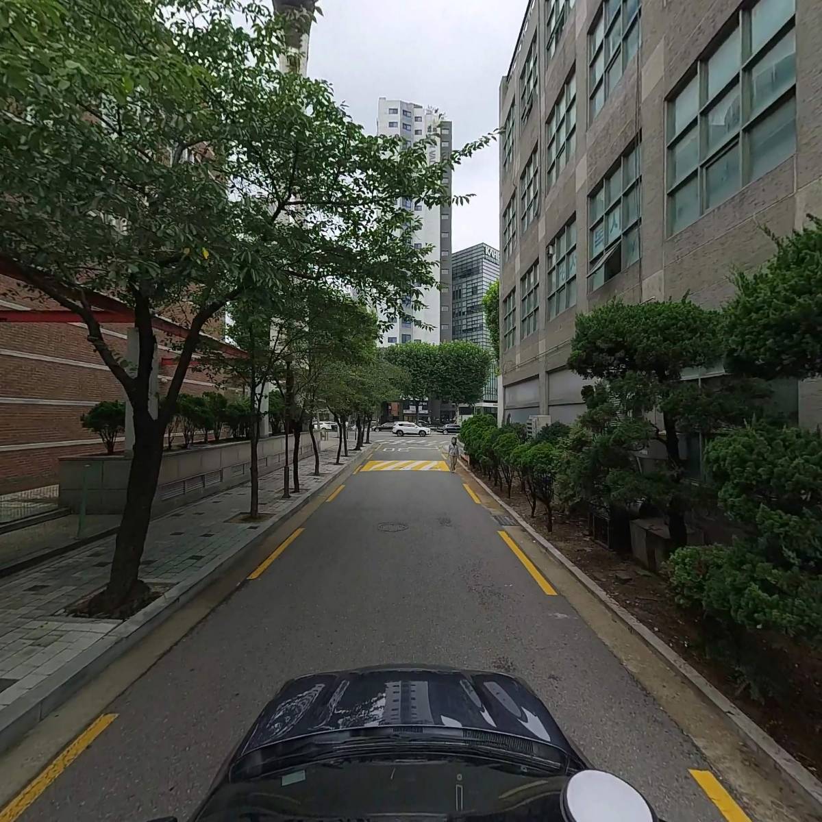 주식회사 닥터테드_4