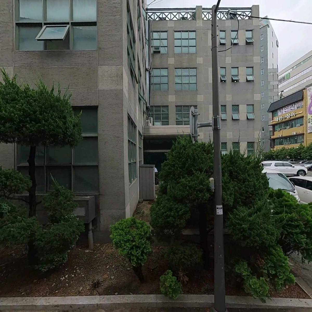 주식회사 닥터테드