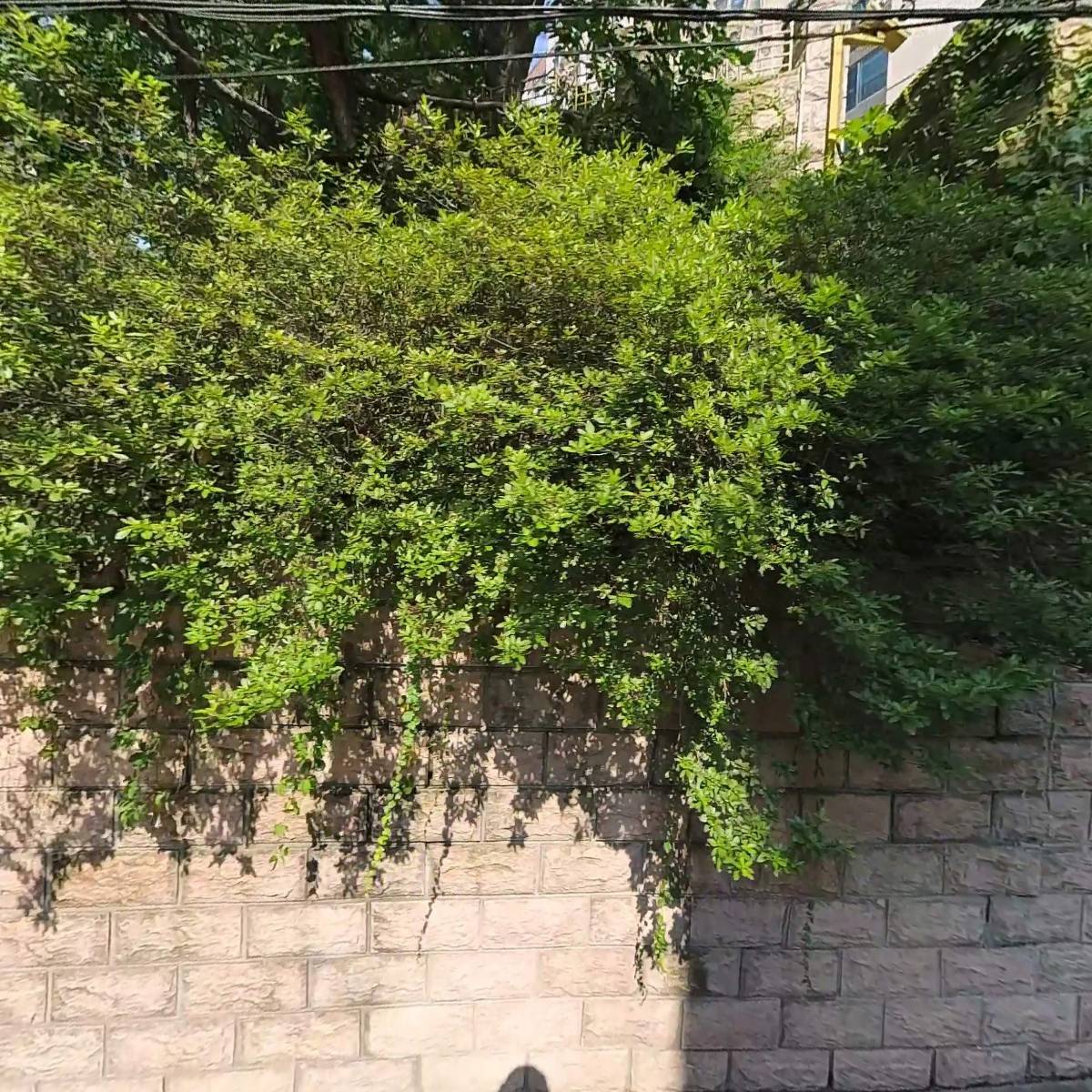 (주)제이앤디앤씨_3