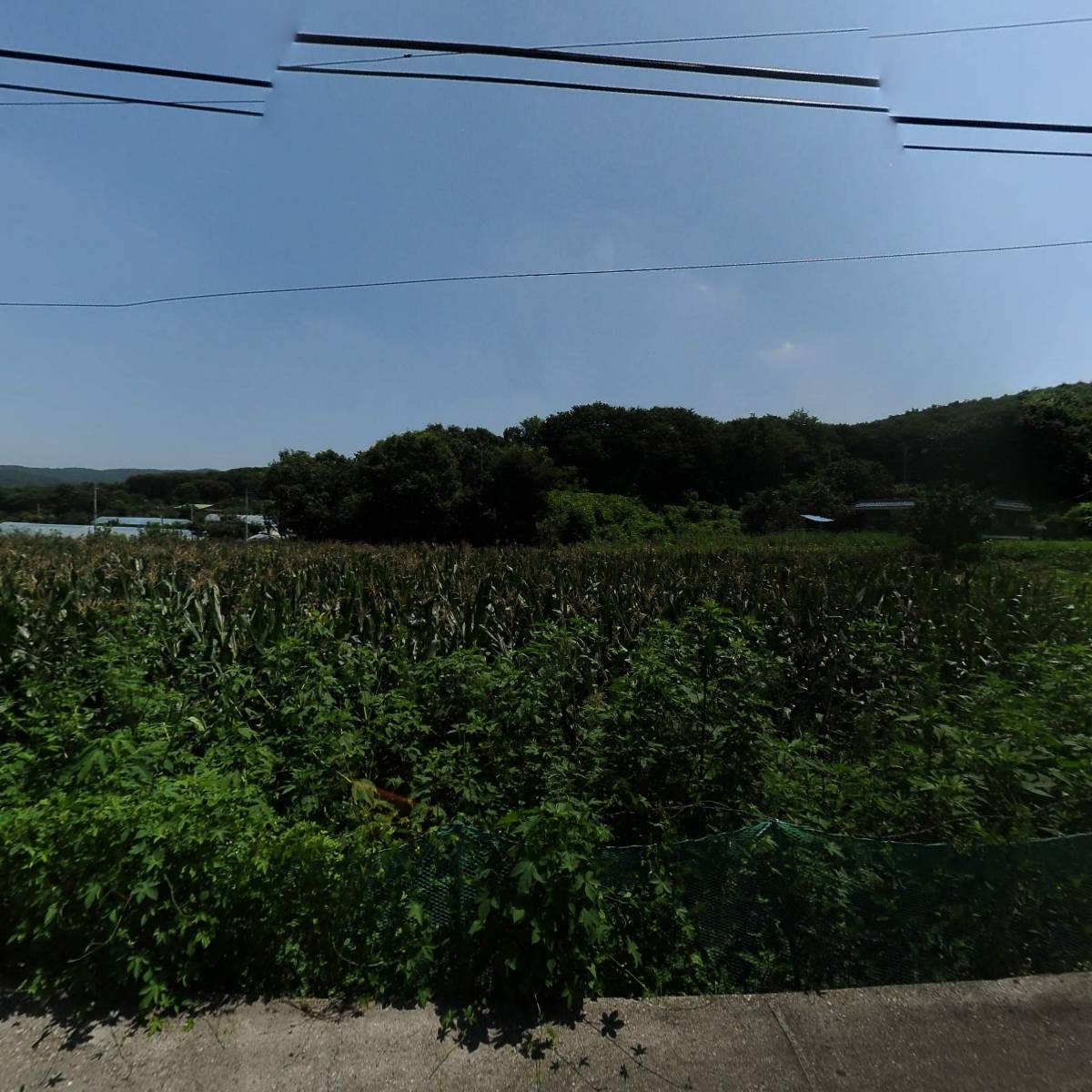 사회복지법인 온길_3
