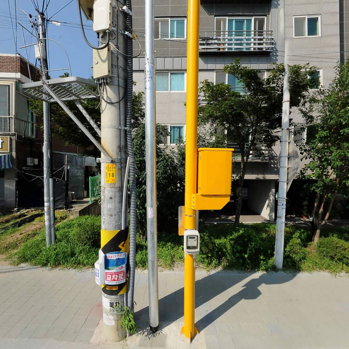 대리만족 대리운전