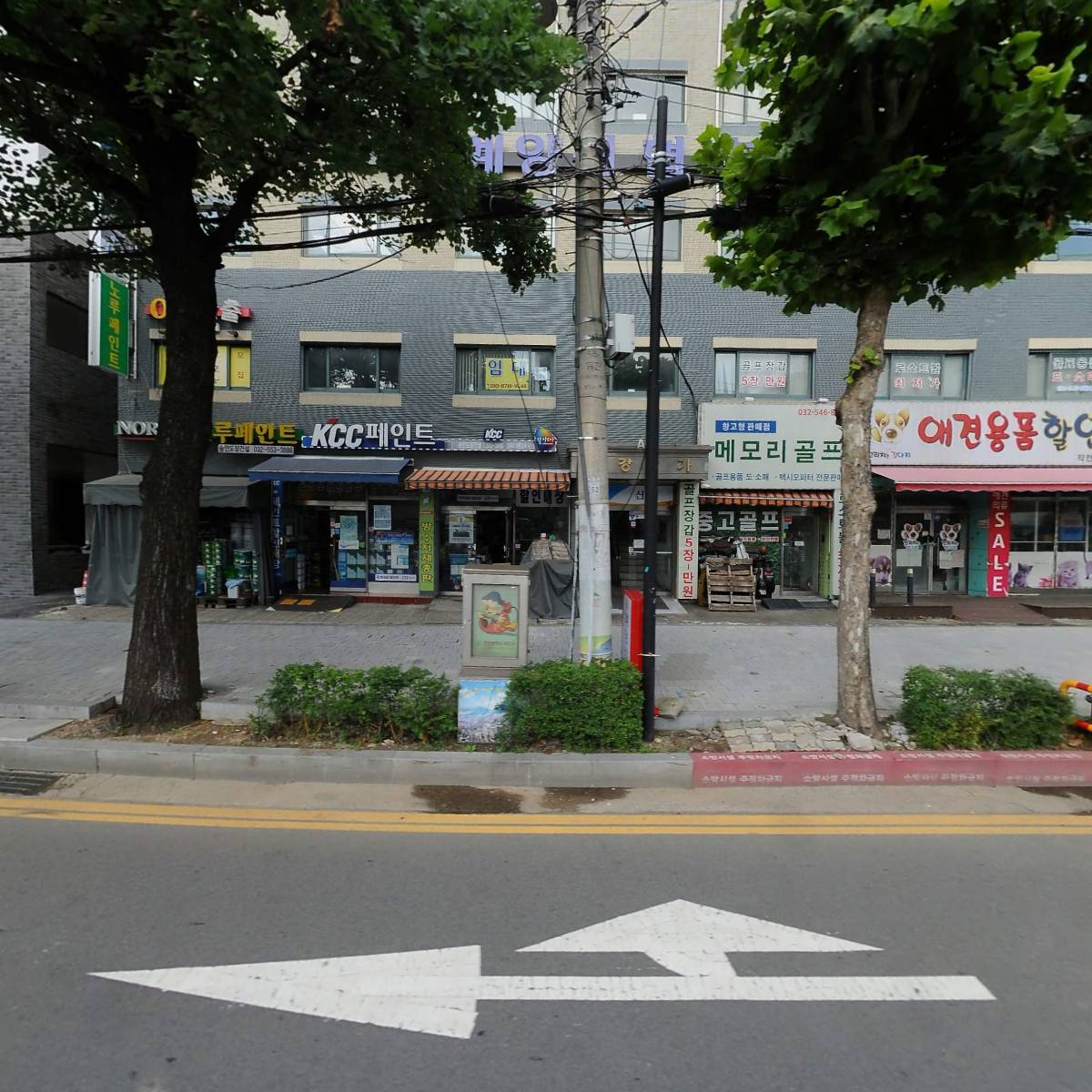 꼬리치는강아지