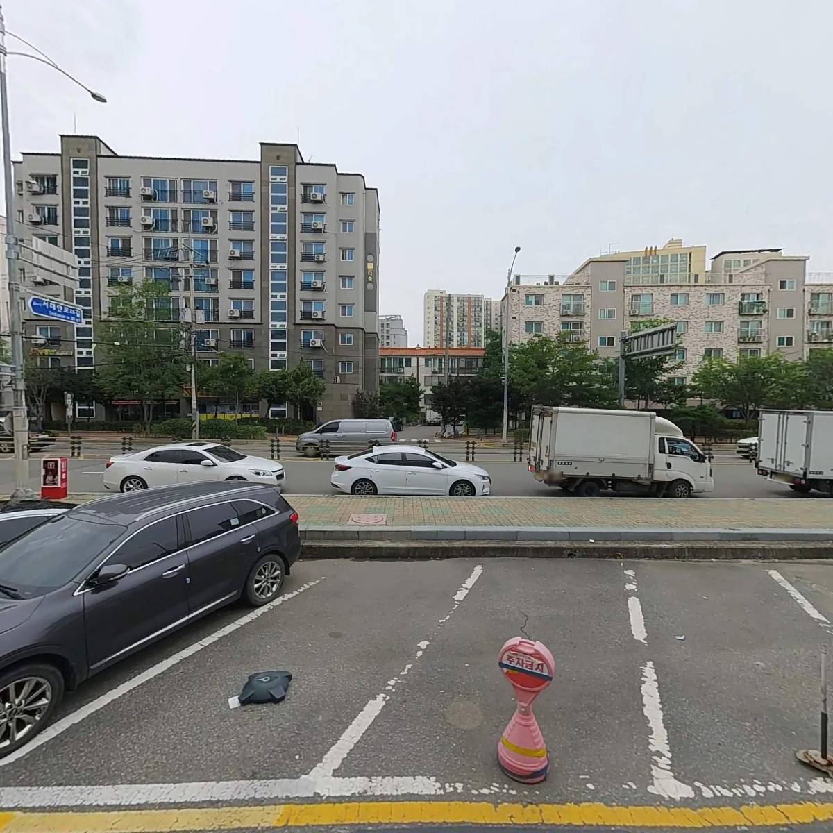 한라산도새기