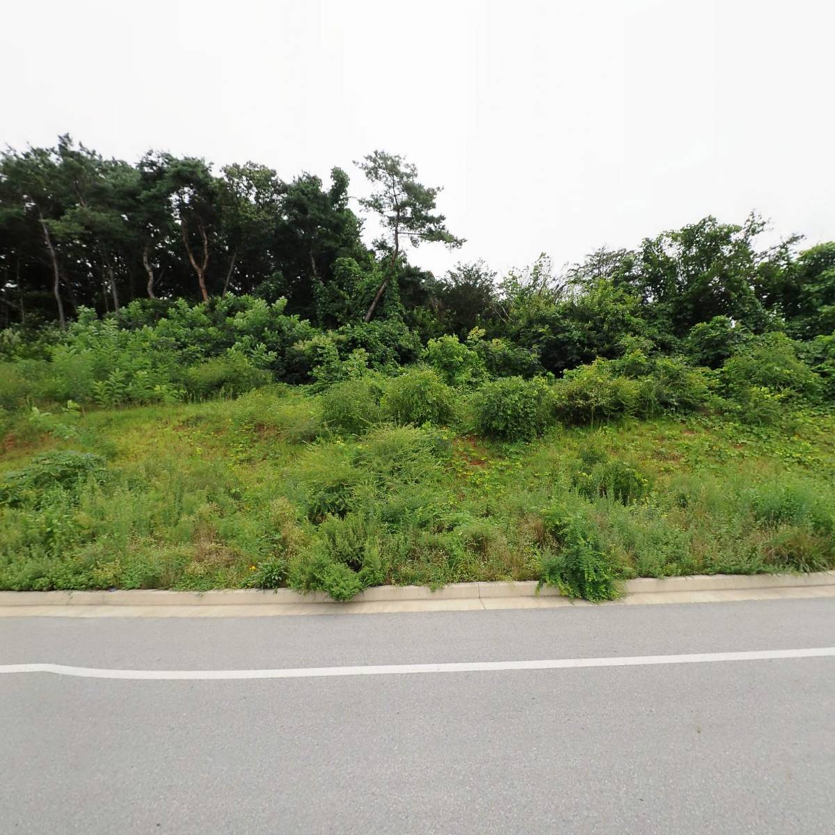 서진산업_3