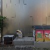 백악관