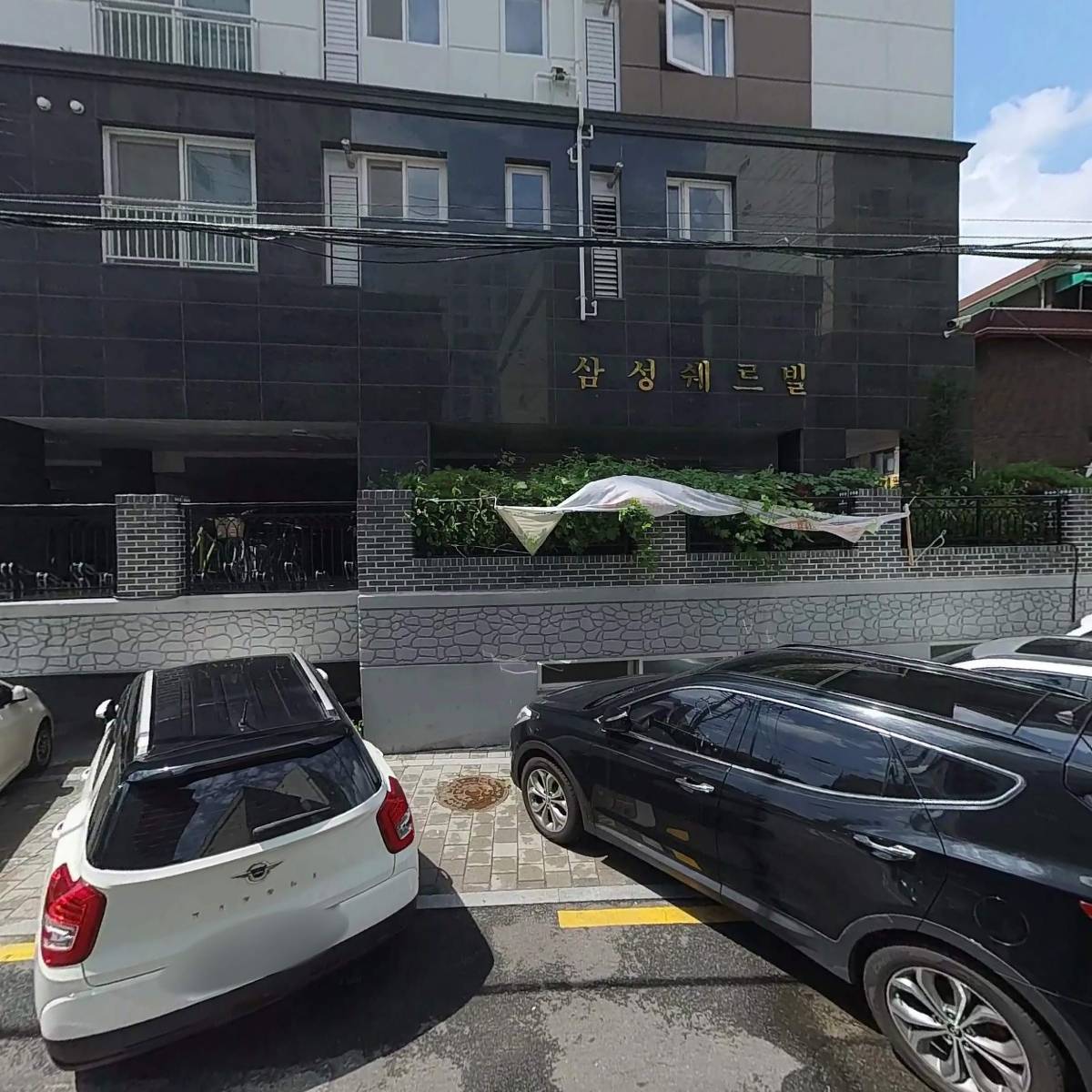레피스냅
