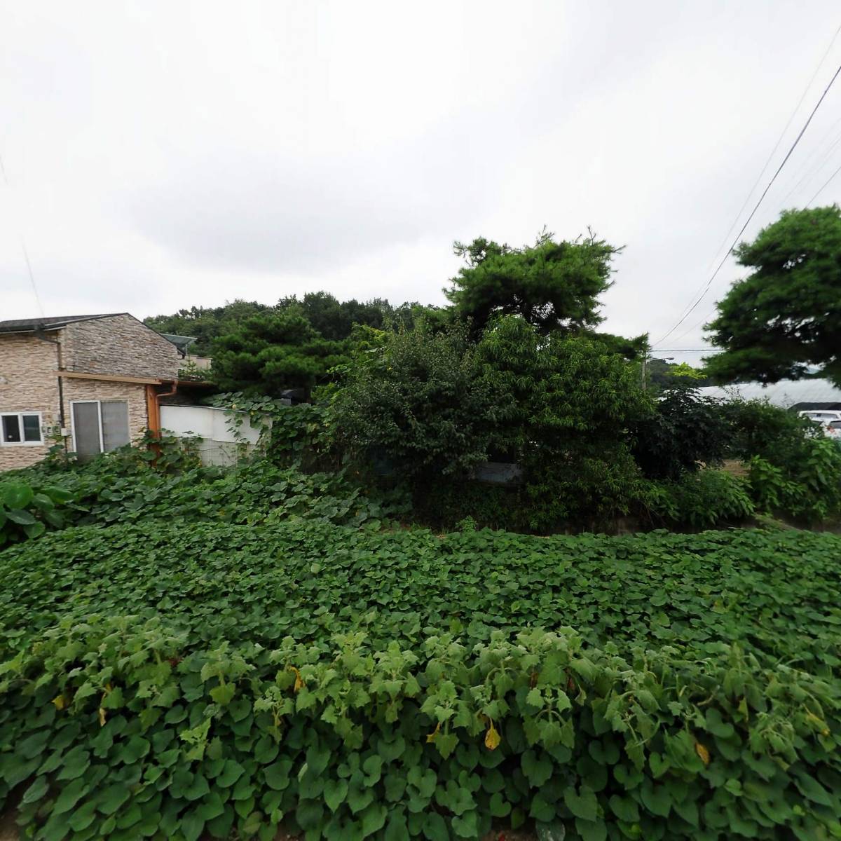 코오롱글로벌（주）스포렉스 이천점_3