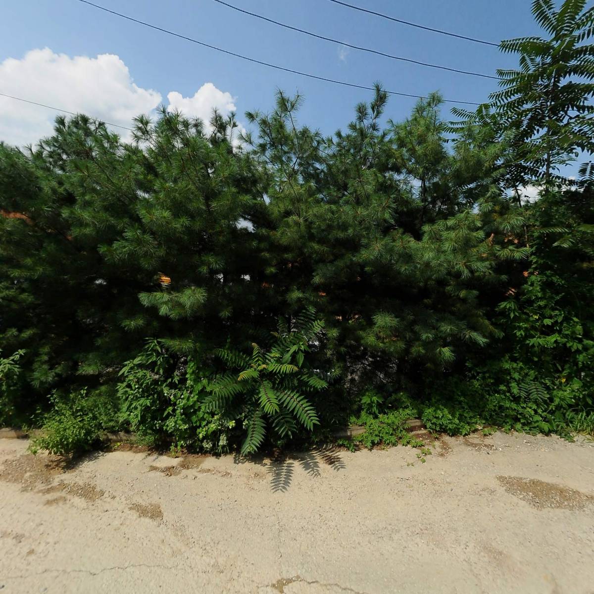 주식회사라성_3