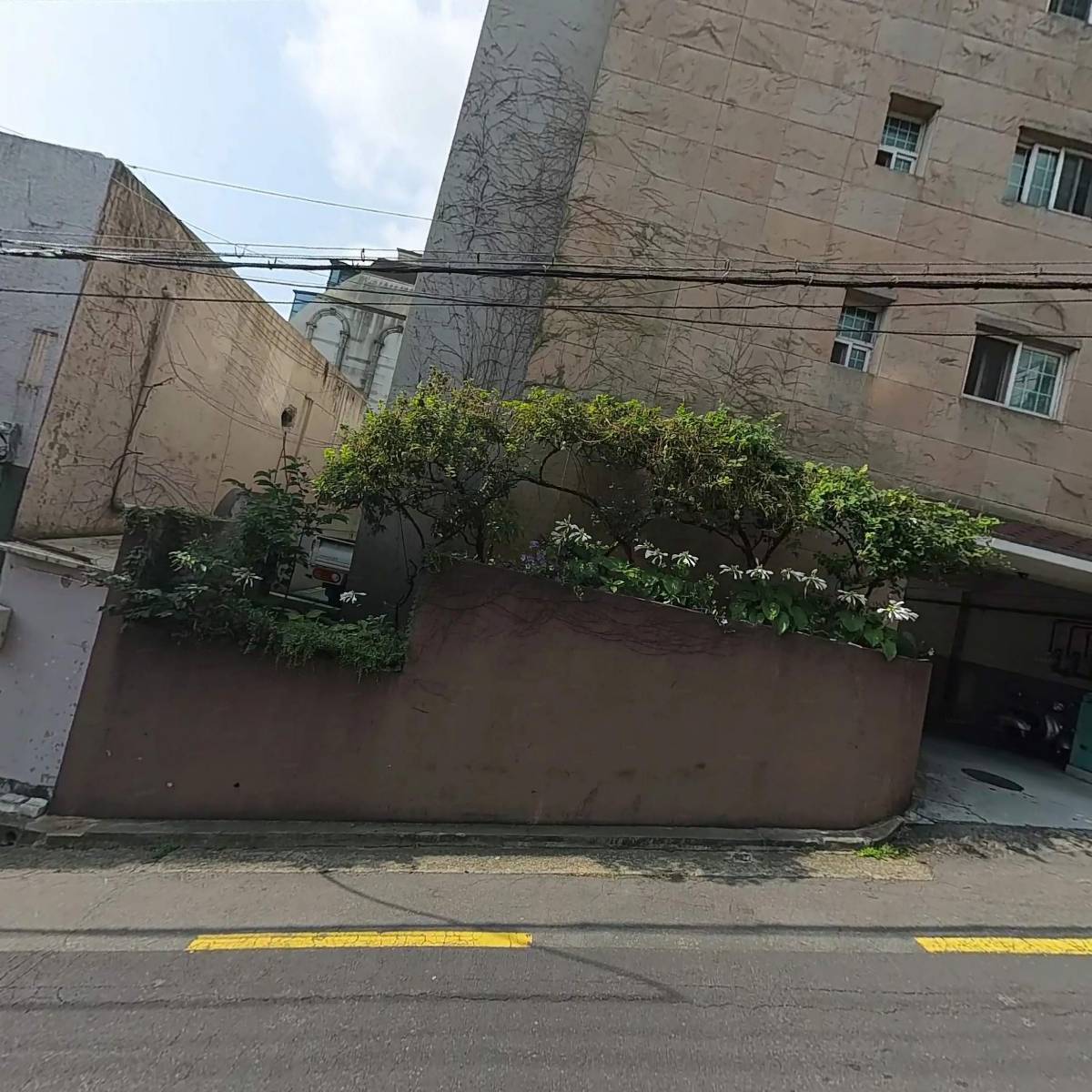 히스_3