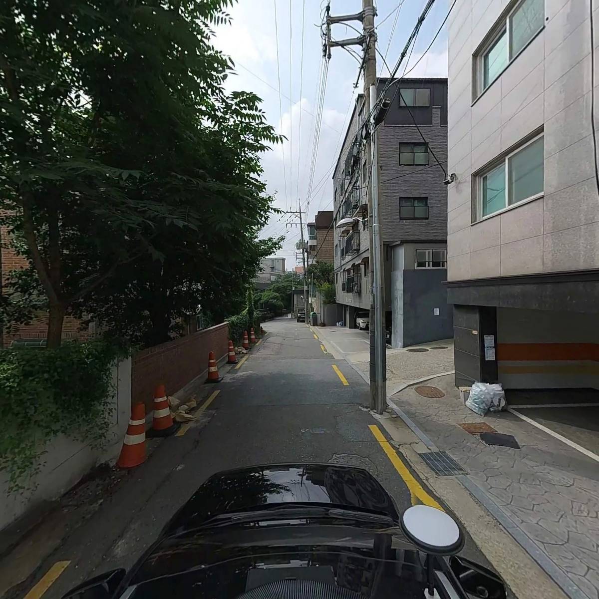 도그바겐_4