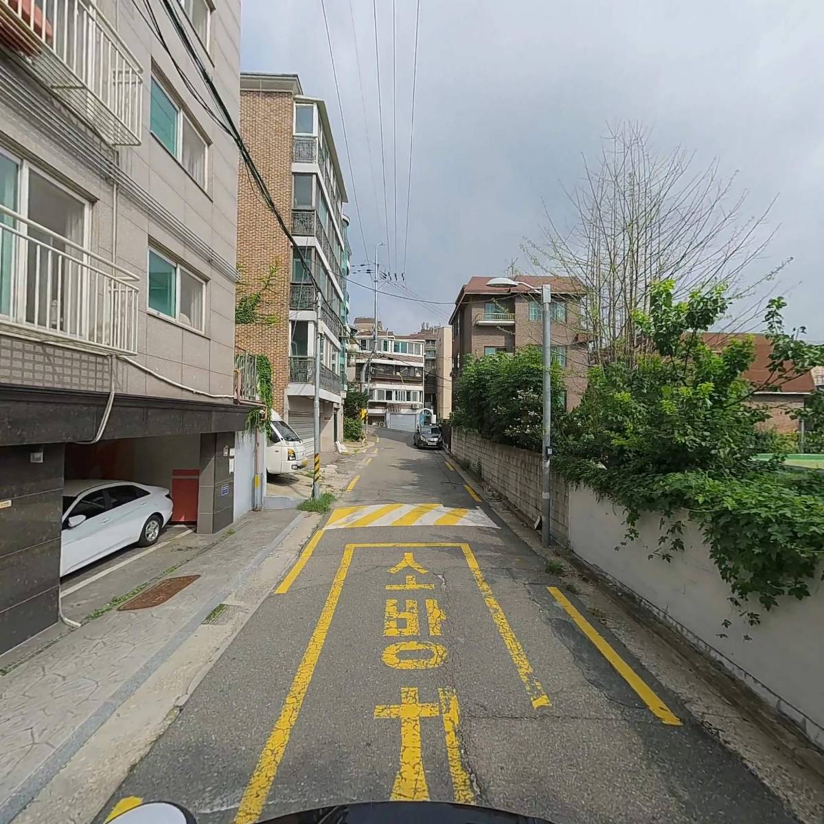 도그바겐_2