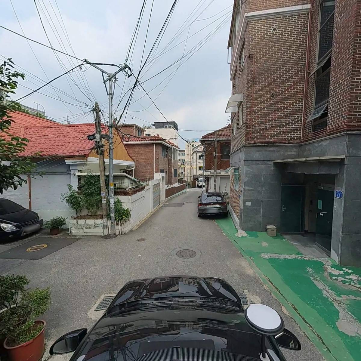 펫션스쿨_4