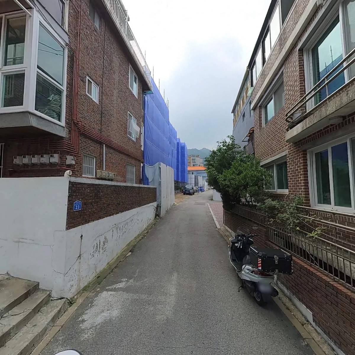 펫션스쿨_2