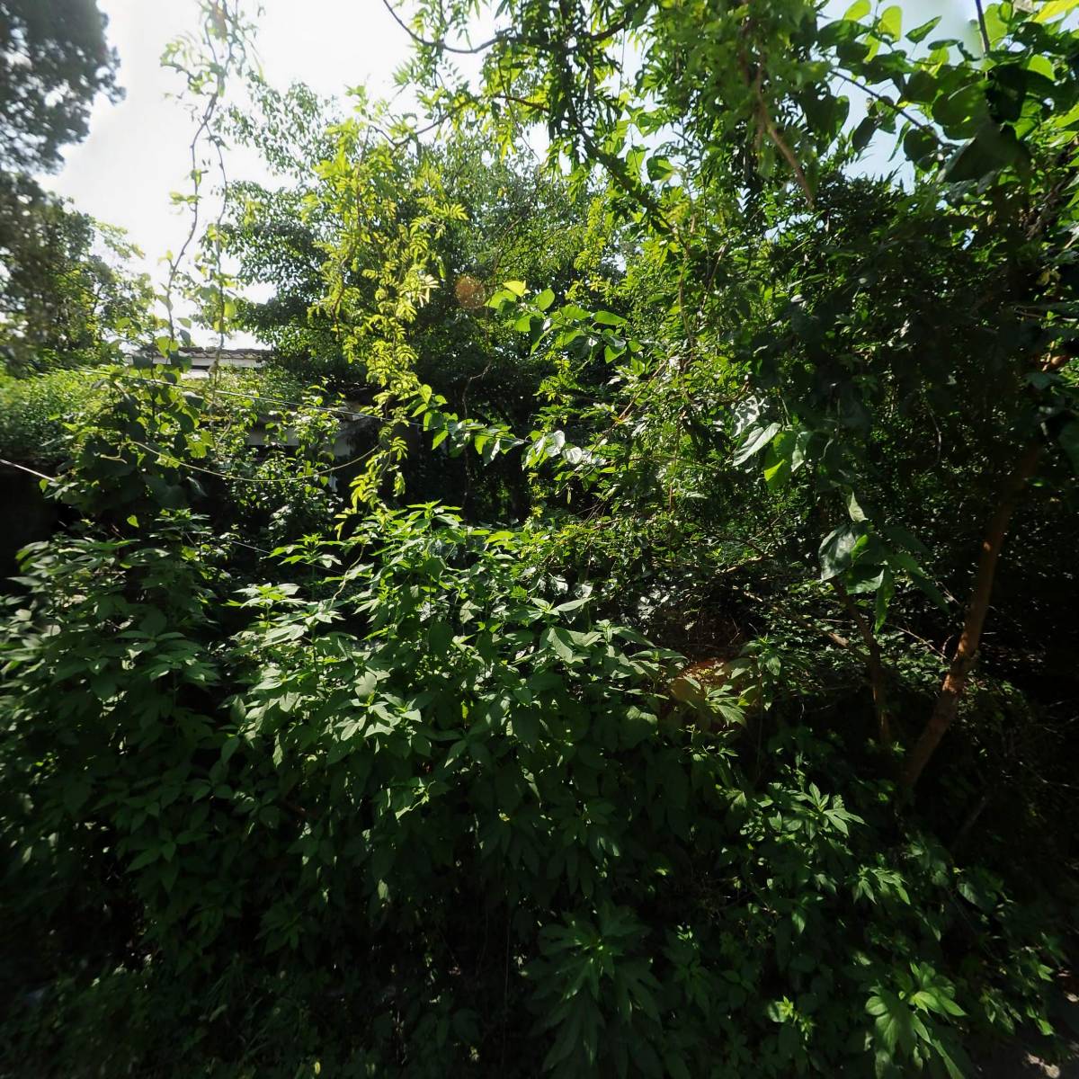 주식회사 뉴월드리조트_3