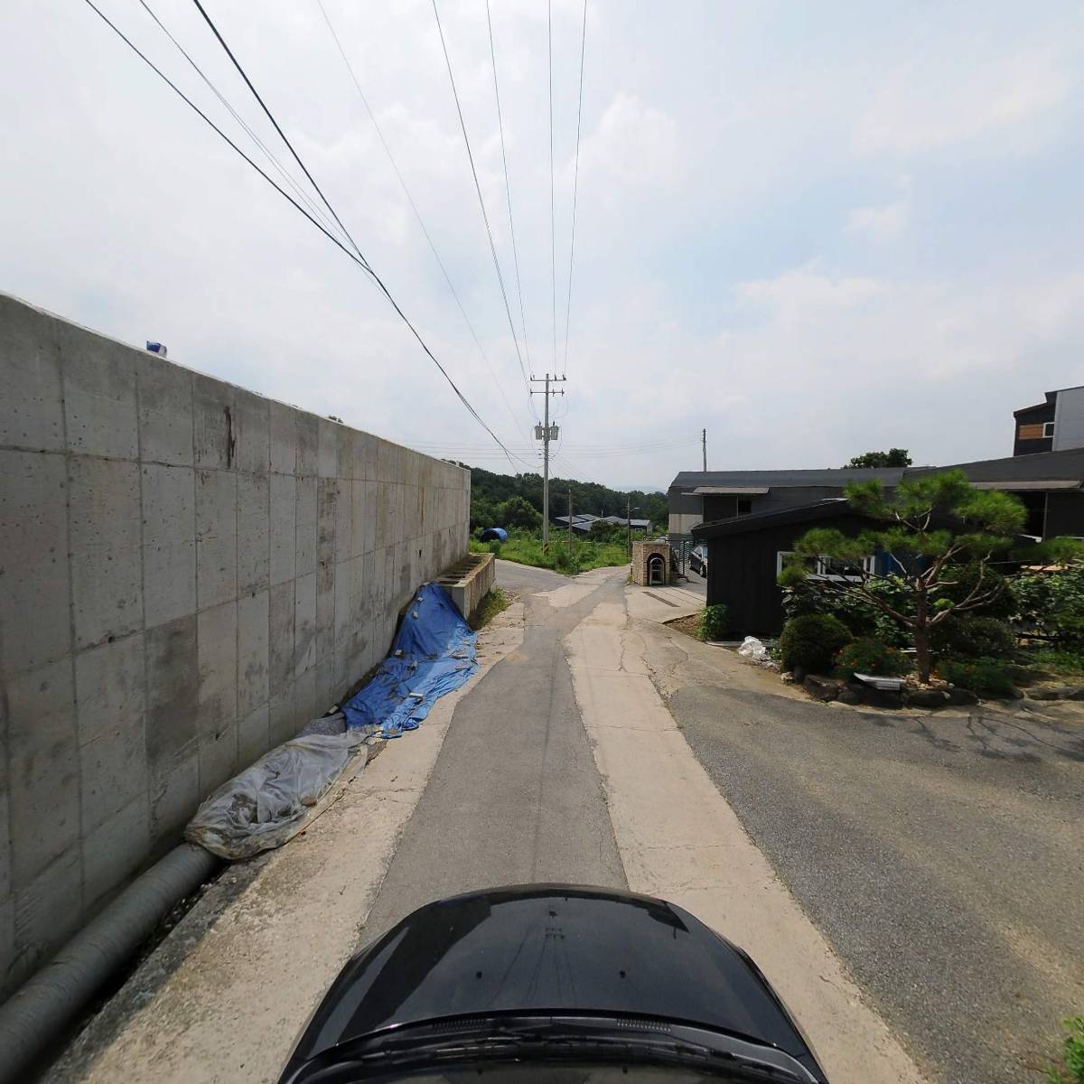 플림_4