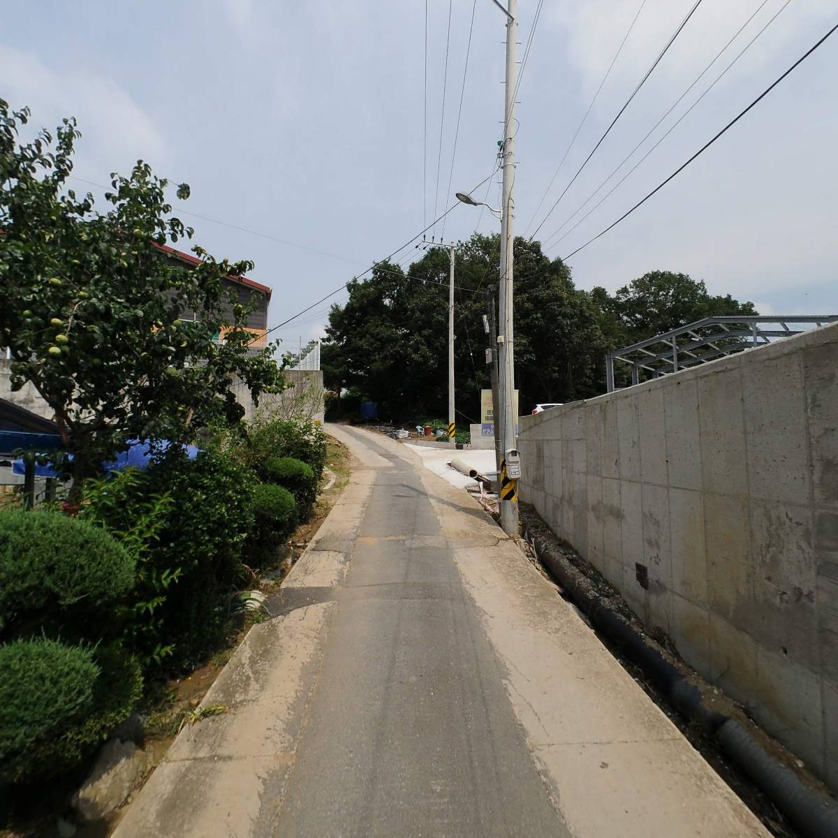 플림_2