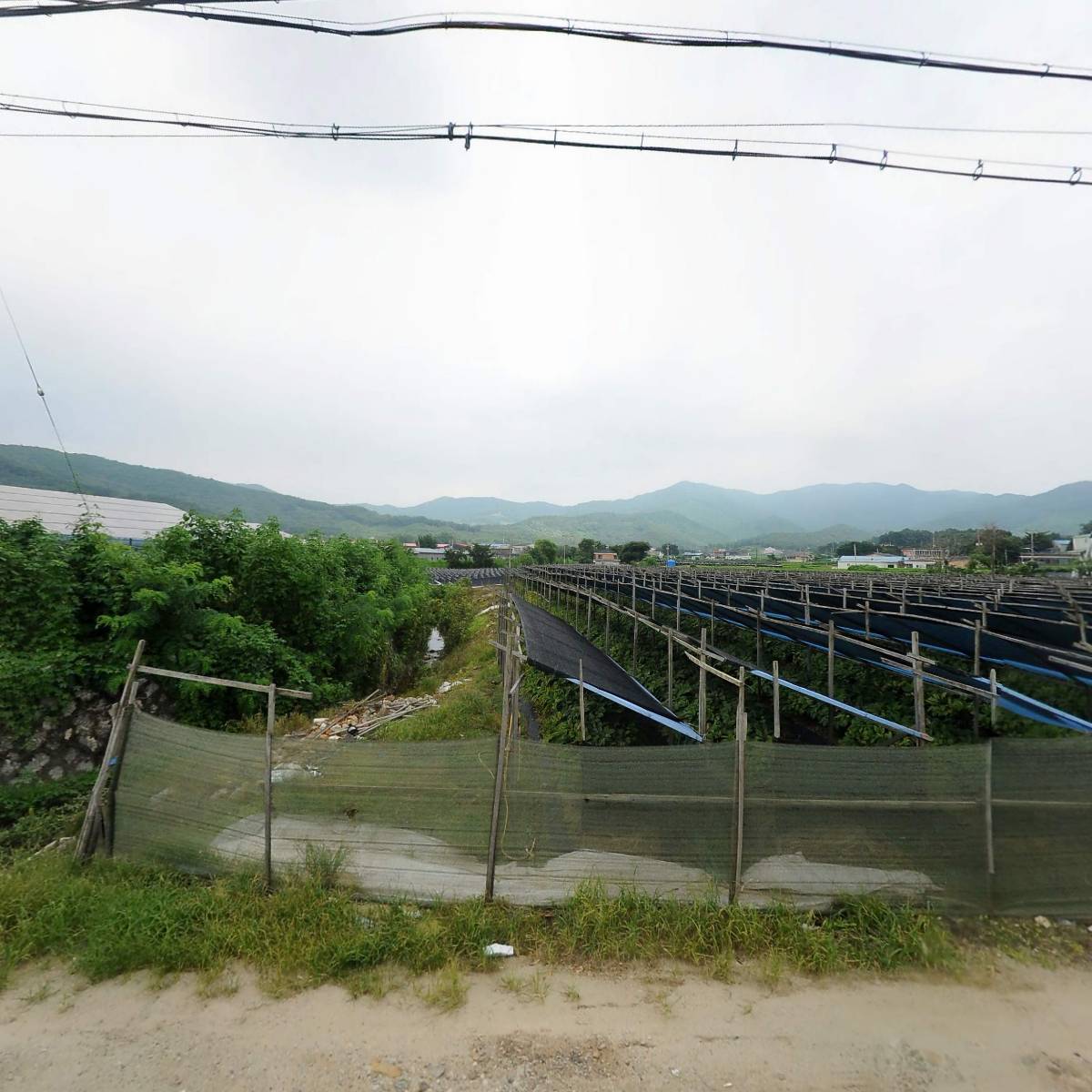우리환경